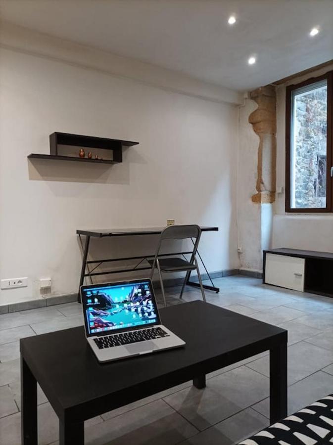 Charmant Studio A La Croix Rousse Avec Patio Лион Екстериор снимка